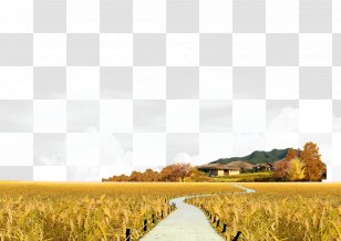 Landscape Icon - Autumn - Material Transparent PNG