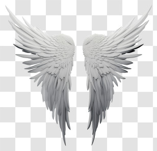 Abstract Angel Wings - Beautiful White Angel Wings Illustration Transparent PNG