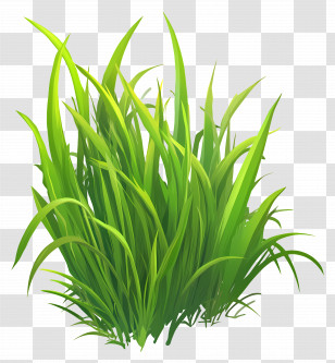 Grass Animated - Bright Green Grass For Spring Gardens Transparent PNG