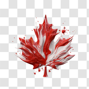 Canada Day
 - Red And White Maple Leaf Transparent PNG