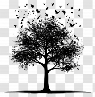 Simple Black Tree - Black Tree And Birds Silhouette Design Transparent PNG