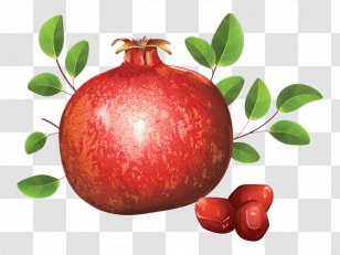 Pomegranate Royalty-free Clip Art - Hand-painted Transparent PNG