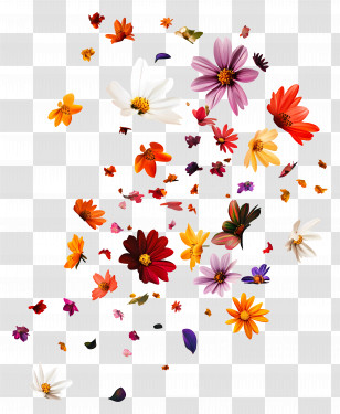 Falling Flowers - Floating Colorful Flower Petals Design Transparent PNG