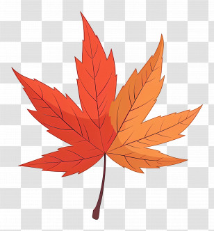 Autumn Maple Leaf - Illustration Of An Orange Autumn Maple Leaf Transparent PNG