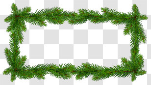 Fir Tree Branch - Festive Pine Branch Frame For Holiday Decoration Transparent PNG