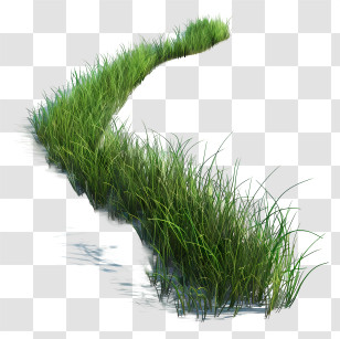 Grass Long - Curved Grass Pathway With Green Plants Transparent PNG