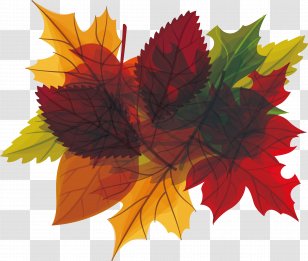 Autumn Leaf Euclidean Vector - Tree - Leaves Heading Box In Transparent PNG