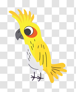 Bird Parrot - Yellow Cockatiel Cartoon Illustration Transparent PNG