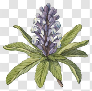 Abstract Flower - Purple Flower With Green Leaves Transparent PNG