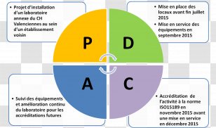 Risk Management Organization Assessment - Business Transparent PNG
