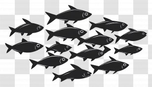 Group Of Fish - Black Silhouette Of Schooling Fish Transparent PNG
