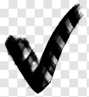 Black Check Mark - Black Check Mark Illustration Transparent PNG