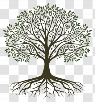 Tree With Roots - Tree With Detailed Root System Graphic Transparent PNG