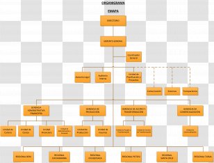 Organizational Chart Diagram Consultant Company - Map - Costco ...