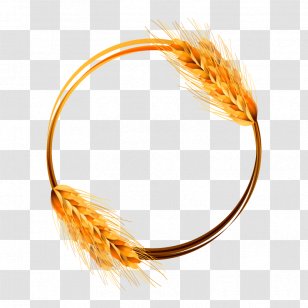 Wheat Cereal Ear - Vector Golden Transparent PNG