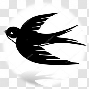 Barn Swallow Edible Bird's Nest Vector Graphics - Tattoo - Bird Transparent PNG