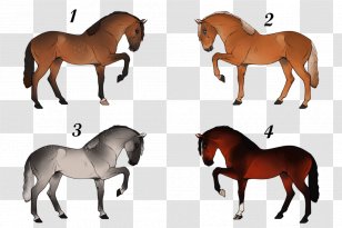 Mustang Stallion Foal Mare Colt - Animal - American Paint Horse Transparent PNG