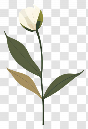 Single Flower - Simple Flower With Green Leaves Illustration Transparent PNG