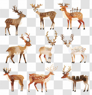 Reindeer - Illustration Of A Group Of Majestic Deer Transparent PNG