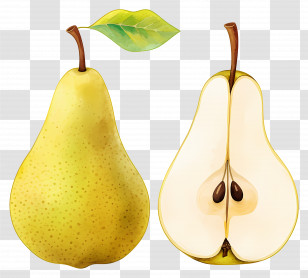 Watercolor Pear Fruit - Pear Fruit Illustration Transparent PNG
