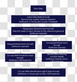 RNA-Seq Transcriptome Bioinformatics Sequencing - Research - Gene Prediction Transparent PNG