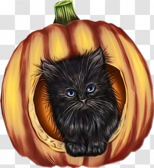 Pumpkin - Yellow - Fruit Kitten Transparent PNG