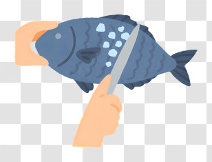 Kitchen Elements - Illustration Of Fish Cleaning Process Transparent PNG