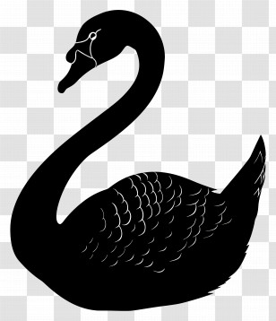 Swan Silhouette - Elegant Black Swan Silhouette Design Transparent PNG