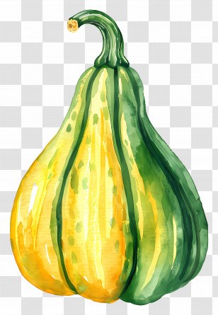 Squash - Green And Yellow Gourd In Watercolor Art Transparent PNG