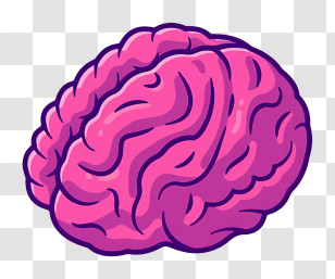 Brain Anatomy - Pink Cartoon Brain Illustration Transparent PNG