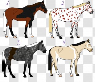 Mule Foal Stallion Mare Colt - Donkey - Mustang Transparent PNG