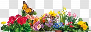 Floral Design Lambavill Sheep Cut Flowers - Grass Transparent PNG