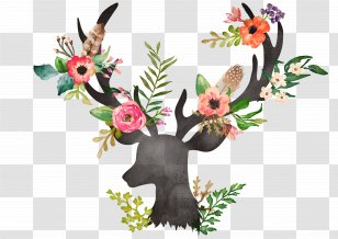 Deer Flower Painting Watercolor Drawing - Postcards - Buck Head Transparent PNG