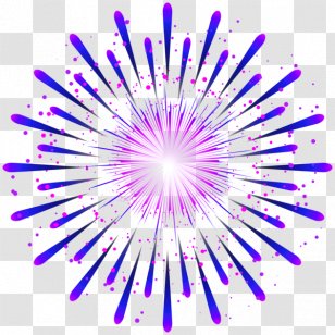 Fireworks Clip Art - Symmetry Transparent PNG
