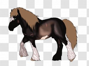Mustang Stallion Foal Colt Mare Transparent PNG