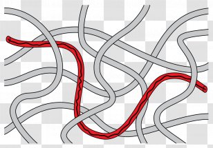 Reptation Polymer Physics Macromolecule Relaxation - Motion Model Transparent PNG