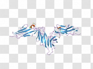GPVI Collagen Receptor Glycoprotein Platelet - Target Corporation - Protein Transparent PNG