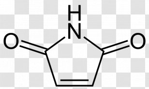 Maleimide N-Bromosuccinimide Organic Compound Phenylpiracetam - Area Transparent PNG