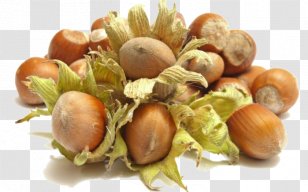 Hazelnut Nuts Walnut Food - Peanut Transparent PNG