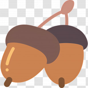 Acorns - Cartoon Acorns Transparent PNG