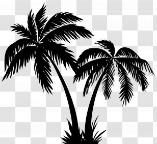 Silhouette Arecaceae Clip Art - Woody Plant - Palms Image Transparent PNG