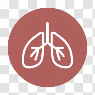 Breathing Lung Respiratory System Pulmonology Human Body - Tree - Silva Transparent PNG