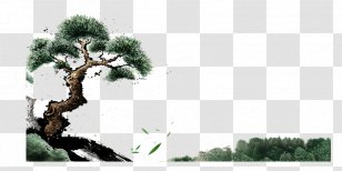 Download - Pine - Dark Green Welcome Song Transparent PNG