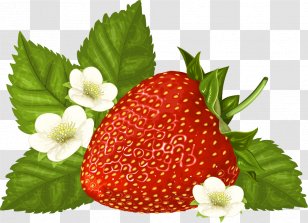 Vector Graphics Clip Art Image Illustration - Local Food - Strawberry Flower Transparent PNG