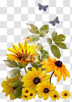 Birthday Happiness Joy Wish - Gospel Music Transparent PNG