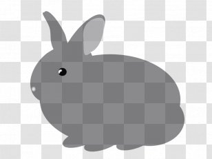 Domestic Rabbit Hare Purebred Meats Chicken Clip Art - Animal Transparent PNG