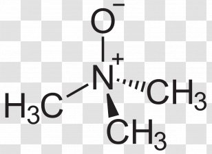 Trimethylamine N-oxide Amine Oxide N-Methylmorpholine - Triethylamine Transparent PNG
