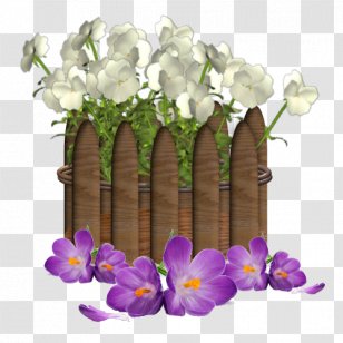 Floral Design Cut Flowers - Moth Orchid - Flower Transparent PNG