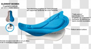 Plastic Marine Mammal Comfort - Design Transparent PNG