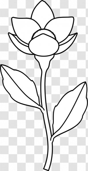 Floral Design /m/02csf Cut Flowers Leaf Clip Art - Plants - Anemone Transparent PNG